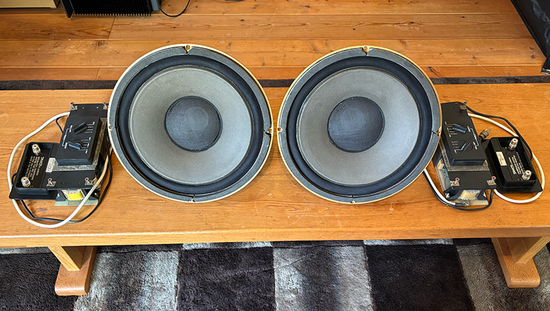 TANNOY HPD315